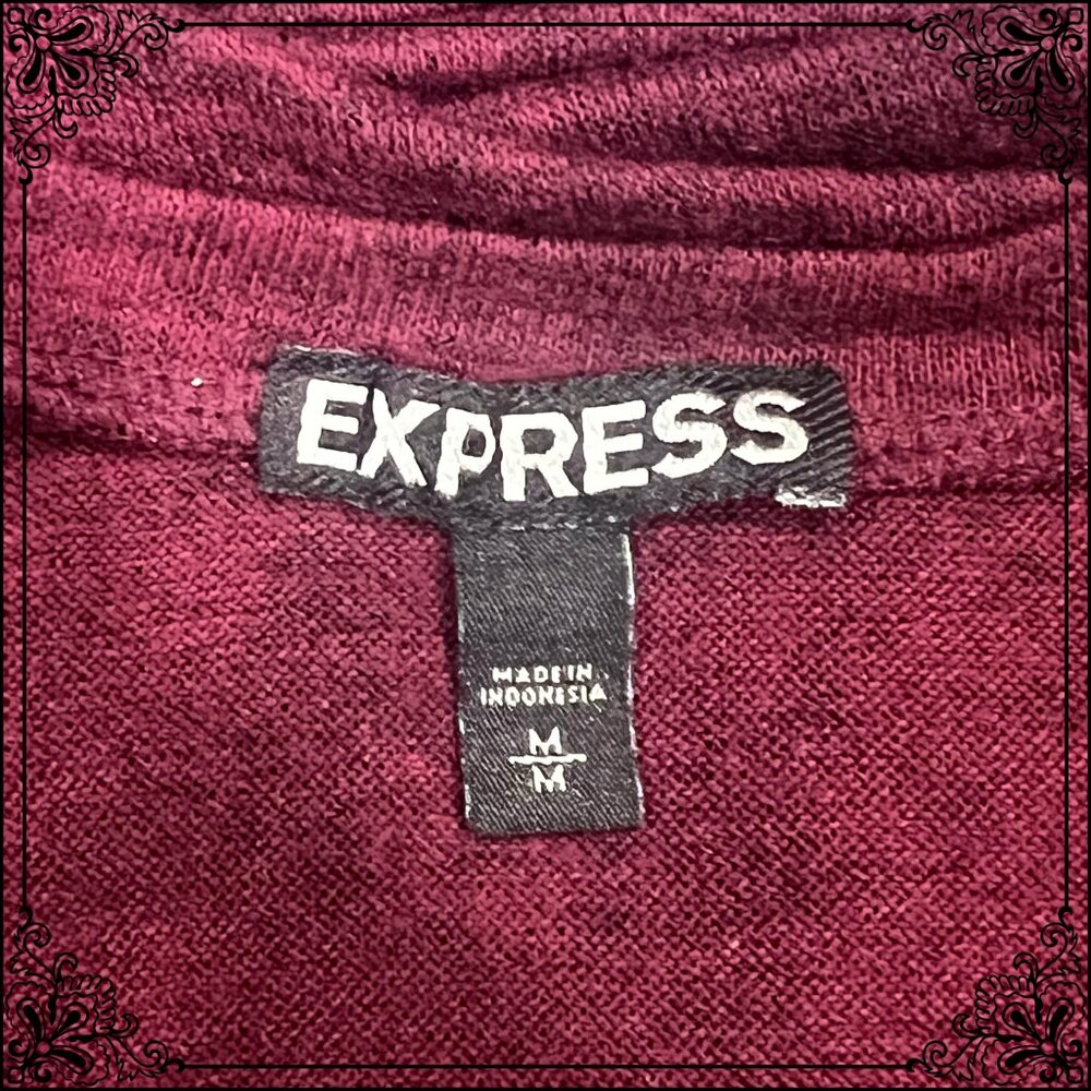 EXPRESS Heather Burgundy Bodycon Ruched Fringe V-Neck Dress - Size M - Picture 9 of 11